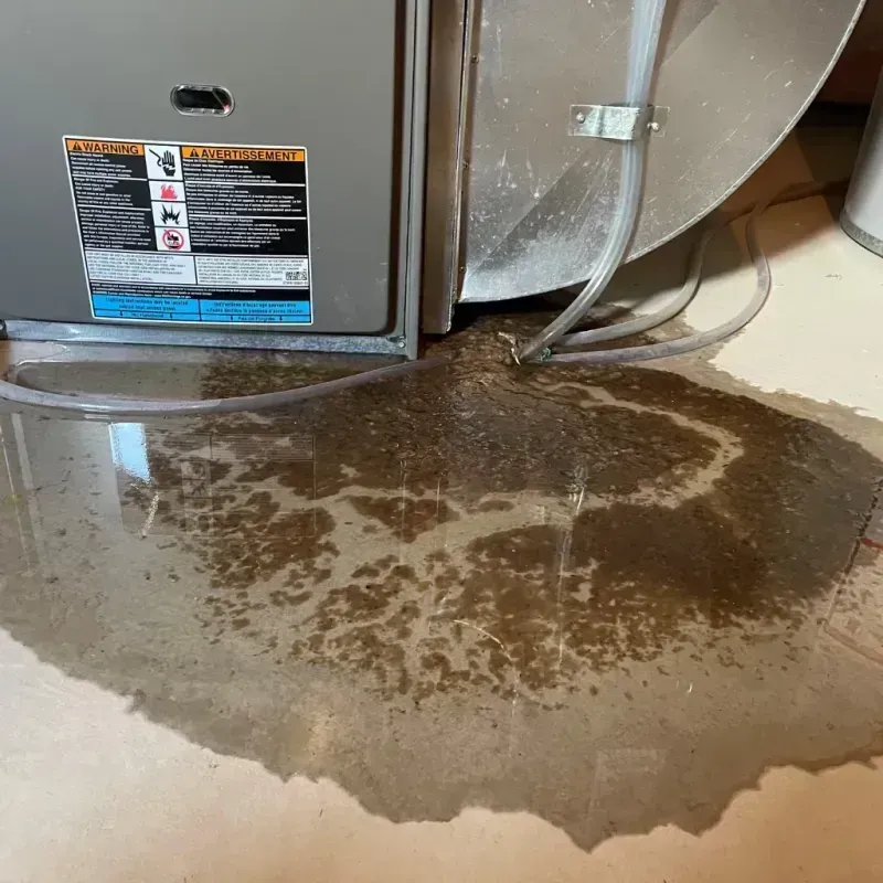 Appliance Leak Cleanup in Charleston County, SC